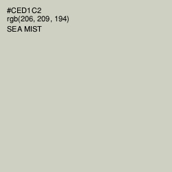 #CED1C2 - Sea Mist Color Image